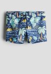 Swimming Trunks - Blue & Palm Trees