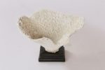 Sponge Bowl 20X35CM