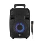 Amplify Wingman Seriers 8PARTY Speaker With Microphone Black