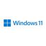 Microsoft Windows 11 Home DVD Single User Package