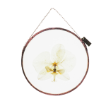 Orchid Botanical Wall Art Round Small - Rose Gold