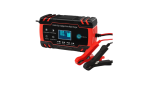 Pulse Repair Intelligent Battery CHARGER-12V 24V 8A