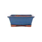 Assorted Glazed Bonsai Pots 8" - Deep Blue Rectangular 20 X 16 X 8CM