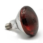 Lamp Par 38 Chicken Brooder