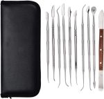 10 Piece Stainless Steel Dental Tool Kit