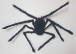 Creepy Crawler Spider Halloween
