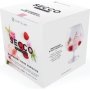- Secco Drink Infusion - Raspberry Rose