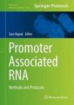 Promoter Associated Rna - Methods And Protocols Hardcover 1ST Ed. 2017