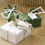 Nordic Noel - Christmas Gift Tags Foliage And Ribbon Set