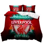Liverpool 3D Printed Double Bed Duvet Cover Set