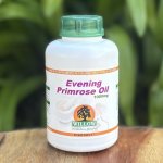 Evening Primrose Oil 90 Capsules Willow