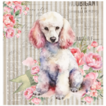 FSC2384 Printed Blanket Assorted