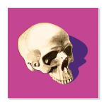Pop Skull 7 Art Print - A3
