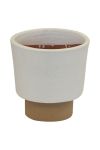 Swazi Planter Vase - White