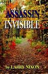 Assassin Invisible