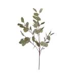 Eucalyptus Leaf Stem - 85CM
