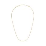 Elan Box Chain Necklace Gold - Long