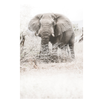 Power Art Print - Matte Fine Art Print No Frame A2
