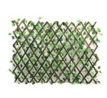 Wooden Fence With Leaves