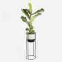 Liquorice Plant Stand