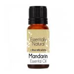 Mandarin Essential Oil - Standardised - 50ML