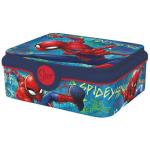Plastic Sandwich Box