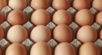 Red Barn Jumbo Eggs Dozen