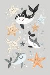 Under The Sea Canvas Print - 600MM X 600MM