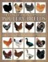 Concise Encyclopedia Of Poultry Breeds   Paperback