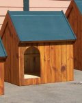 Dog Kennel Wood Small 500 X 600 X 800 Dks