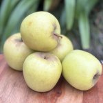 Heirloom Foods – Organic Apples 1KG Golden Delicious