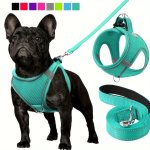 Joytale Reflective Step-in Dog Harness And Leash Set - Soft Padded Nylon Leash And Breathable Mesh Vest Harness For Small And Me