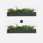 Herb Box - Set Of Two