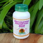 Glucosamine Chondroitin Msm 100 Capsules Willow