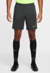 Nike Men's Academy Dri-fit Short - Anthracite