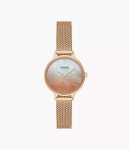 Skagen Anita Lille Three-hand Ombre Rose Gold Woman's Watch SKW3107