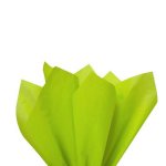 Tissue Paper Brights 50X66CM Green 1X10