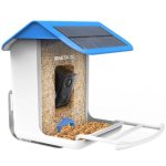Bneta Pet Smart Ai