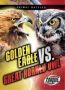 Golden Eagle Vs. Great Horned Owl   Paperback