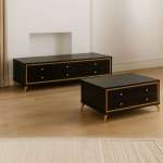 Black And Gold 2-PIECE Living Room Combo