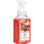 Natures Nourish Foaming Hand Soap 260ML