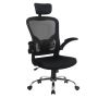 Everfurn Stagio Ergo High Back Office Chair