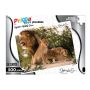 Wildlife Puzzle ASSTED-ADULT-500 Piece