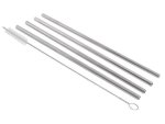 5-PIECE Ss Straws & Pipe Cleaner