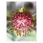 Pincushion 1 Art Print - A4