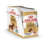ROYAL CANIN Dachshund Wet Dog Food - 12X85 Grams