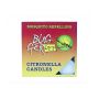 Bugger Off - Citronella T-lite Candles 9PACK - 2 Pack