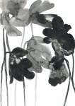 Dark Spring Art Print - A1