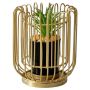 Modern Geometric Iron Frame Succulent Pot Plant - Gold