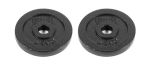 Everlast Pair Of Weight Plates